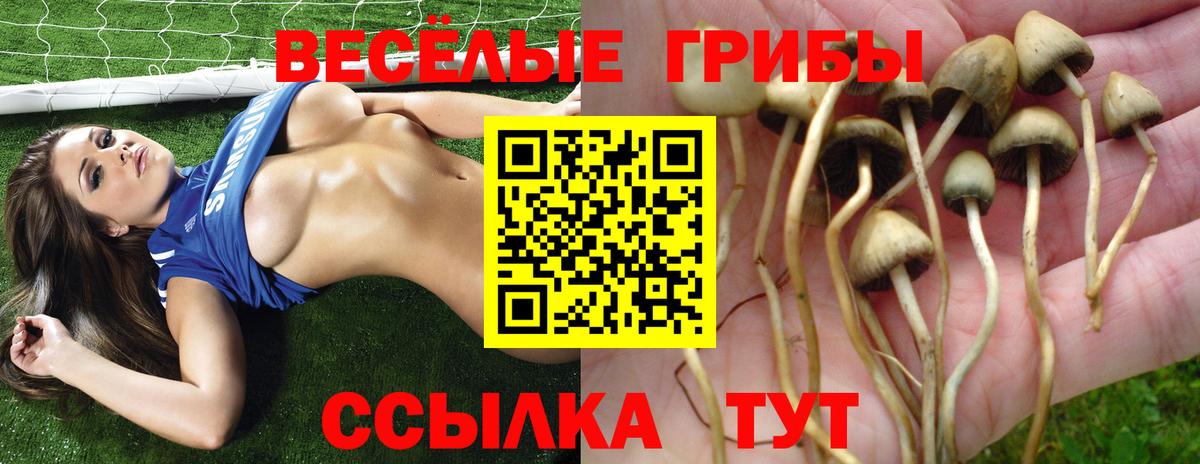 Галлюциногенные грибы Cubensis  Псилоцибиновые грибы прущие грибы  Кинешма  Вход с VPN 
